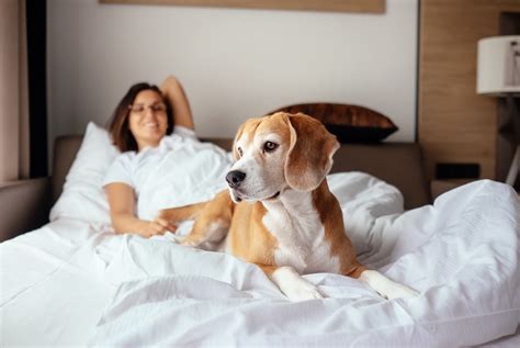 femme x chien|Elle a couché avec son chien. Des mois plus tard, il a découvert ...